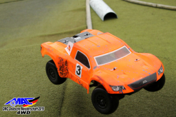 2015 DM 4WD Buggy 4WD Juni